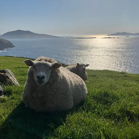 Barr Na Haille